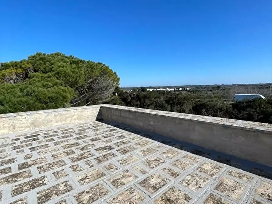 Immagine 14 di Attività artigianale in vendita  a Presicce