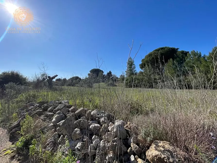 Immagine 39 di Attività artigianale in vendita  a Presicce