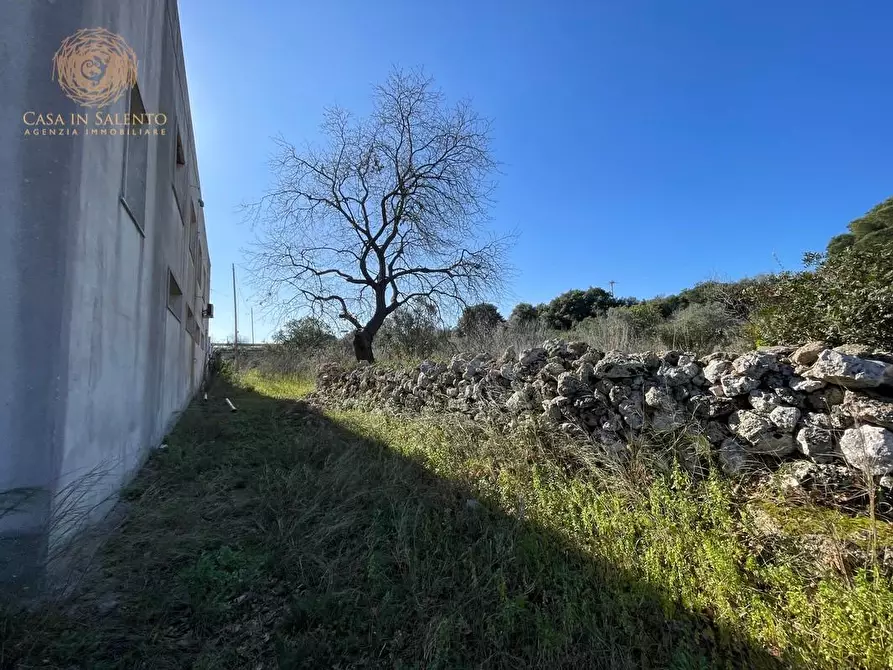 Immagine 17 di Attività artigianale in vendita  a Presicce