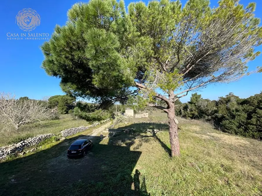 Immagine 10 di Attività artigianale in vendita  a Presicce