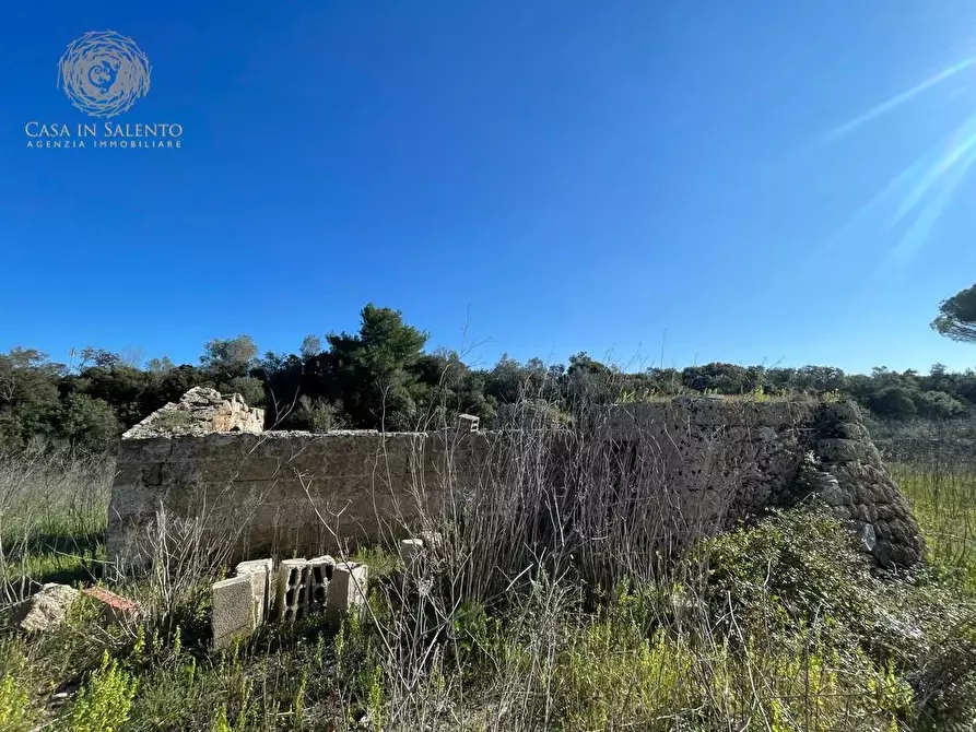 Immagine 30 di Attività artigianale in vendita  a Presicce