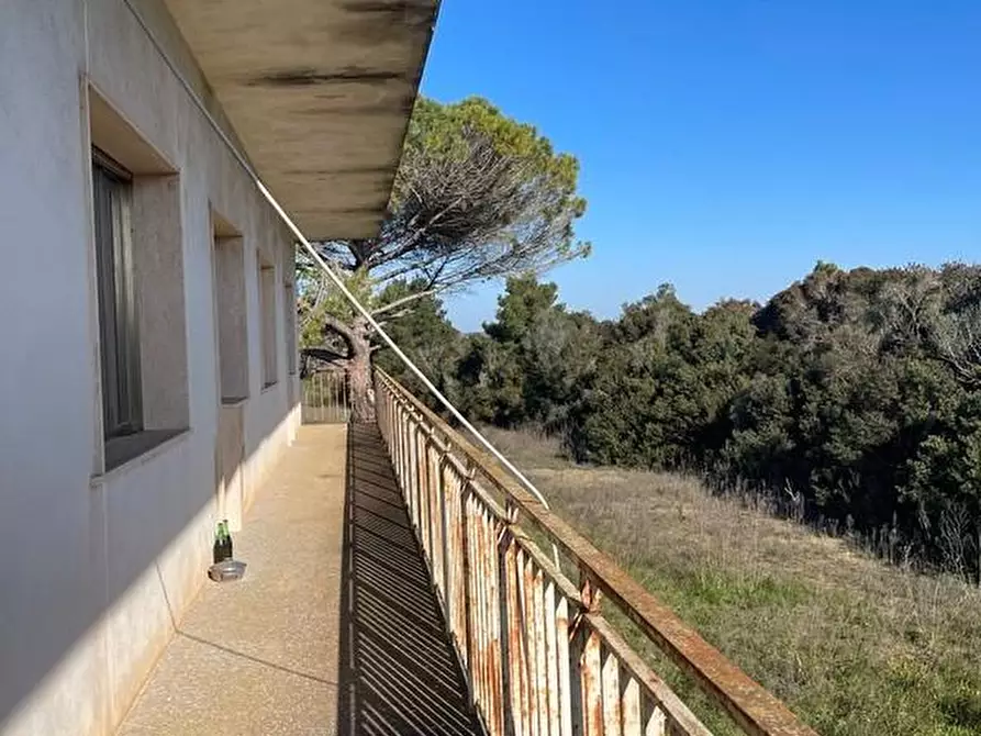 Immagine 8 di Attività artigianale in vendita  a Presicce