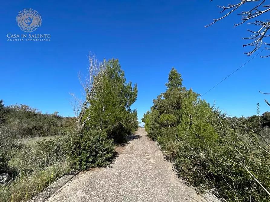 Immagine 38 di Attività artigianale in vendita  a Presicce