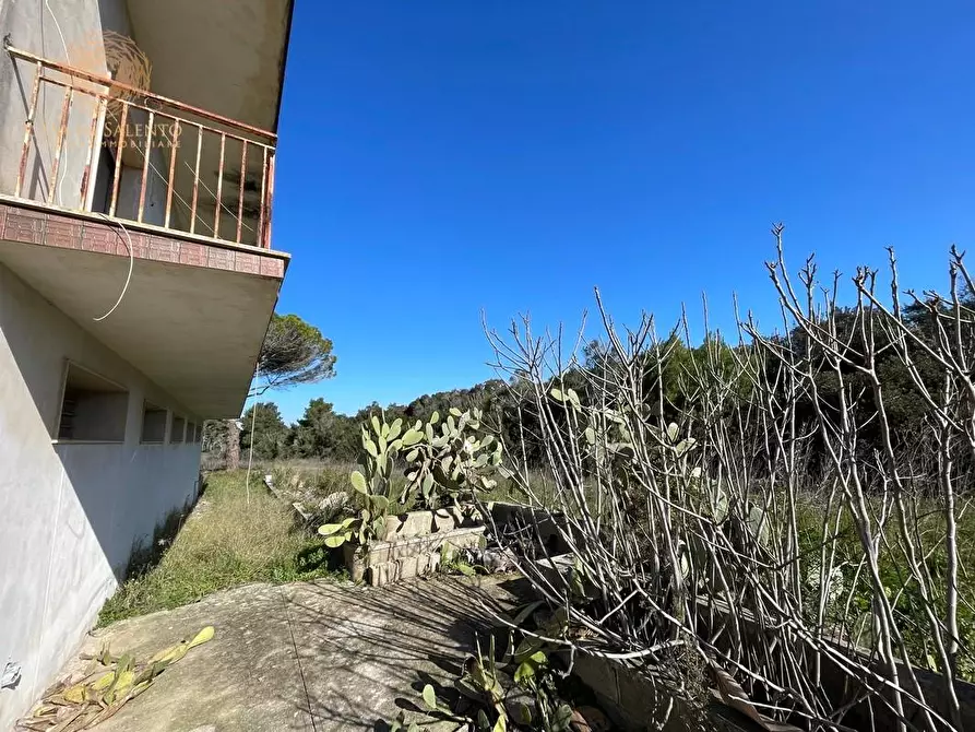 Immagine 22 di Attività artigianale in vendita  a Presicce