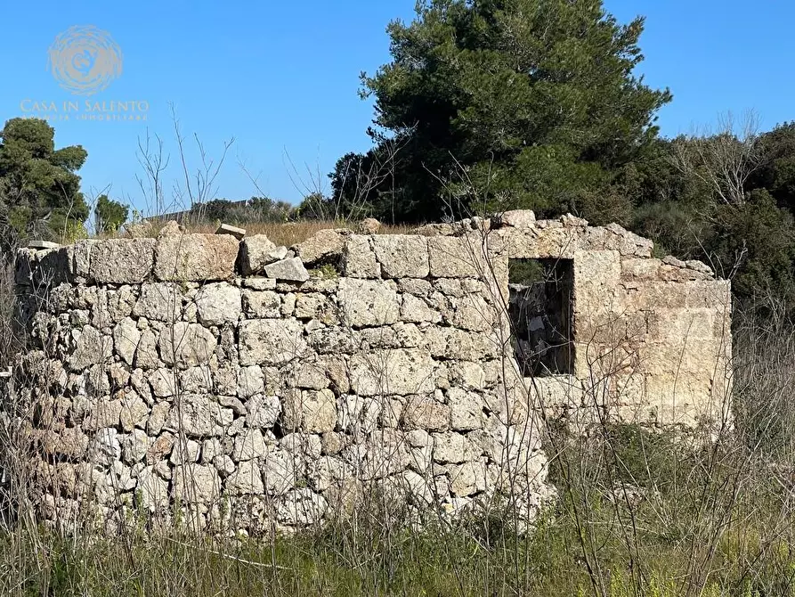 Immagine 27 di Attività artigianale in vendita  a Presicce