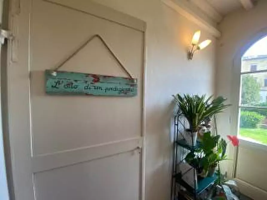 Immagine 16 di Casa bifamiliare in vendita  a Fauglia