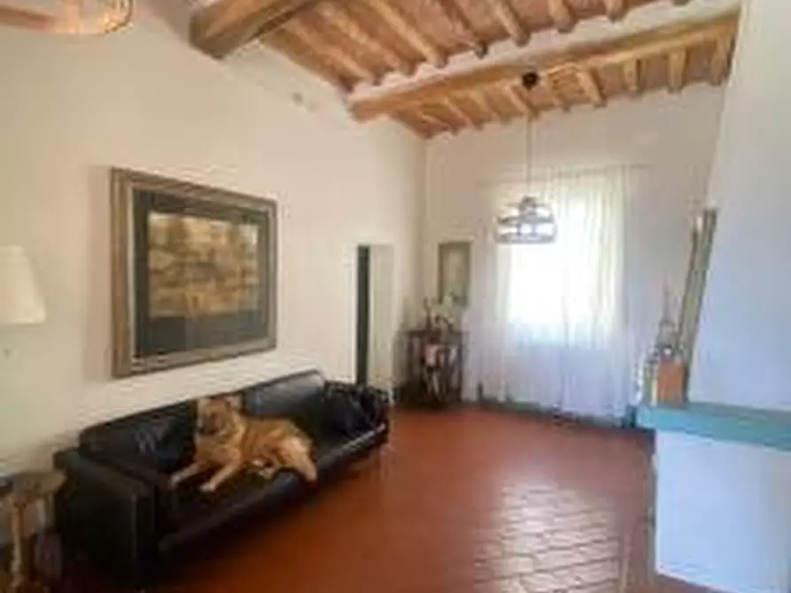 Immagine 7 di Casa bifamiliare in vendita  a Fauglia