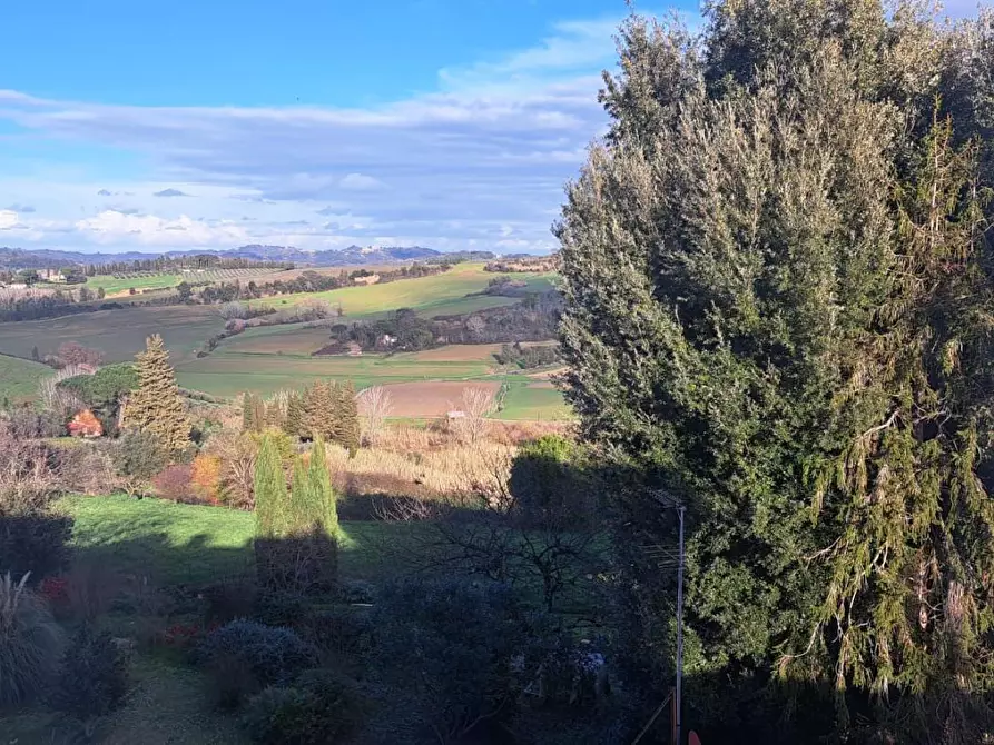 Immagine 7 di Appartamento in vendita  a Peccioli