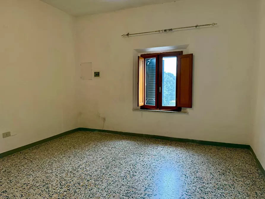 Immagine 11 di Appartamento in vendita  a Peccioli