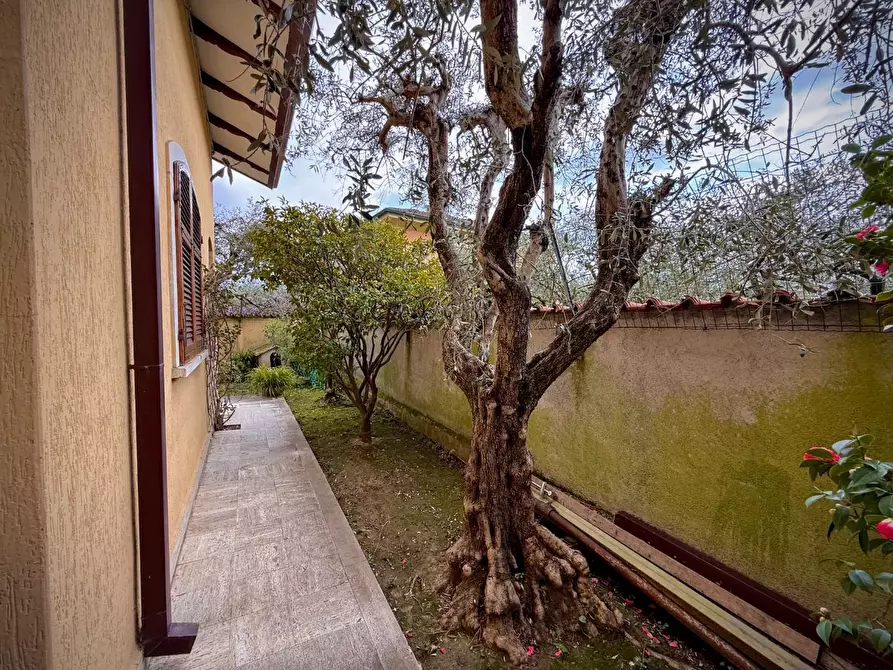 Immagine 17 di Villa in vendita  a Carrara