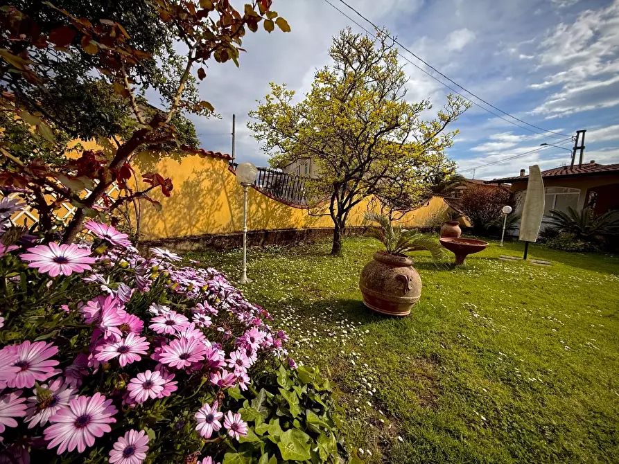 Immagine 4 di Villa in vendita  a Carrara