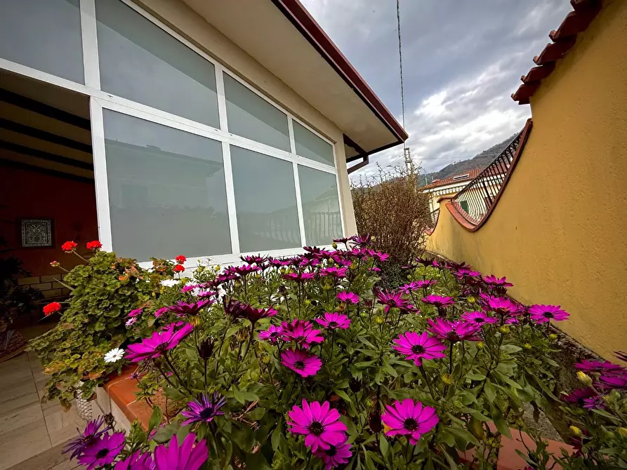 Immagine 18 di Villa in vendita  a Carrara