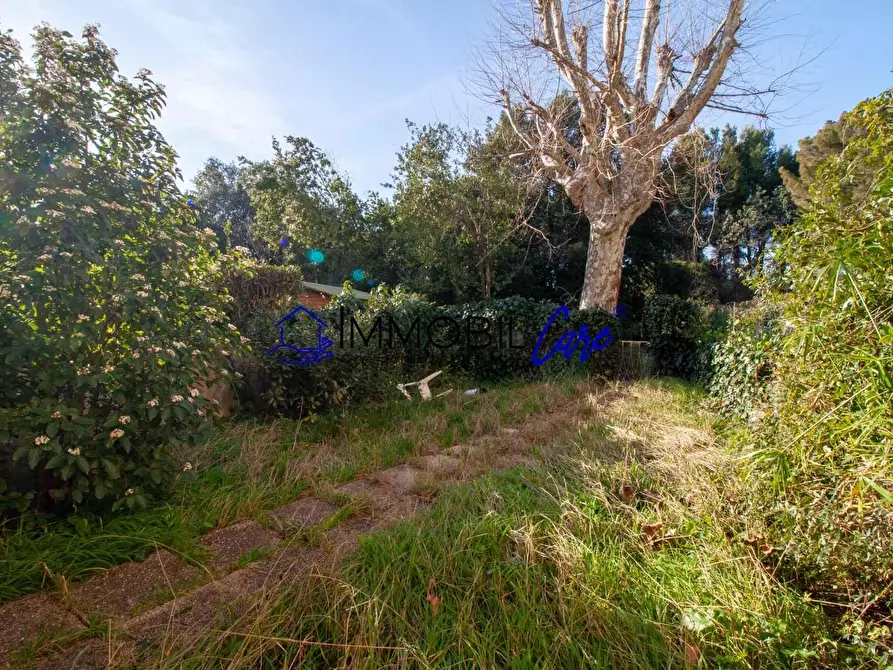 Immagine 23 di Appartamento in vendita  a Livorno