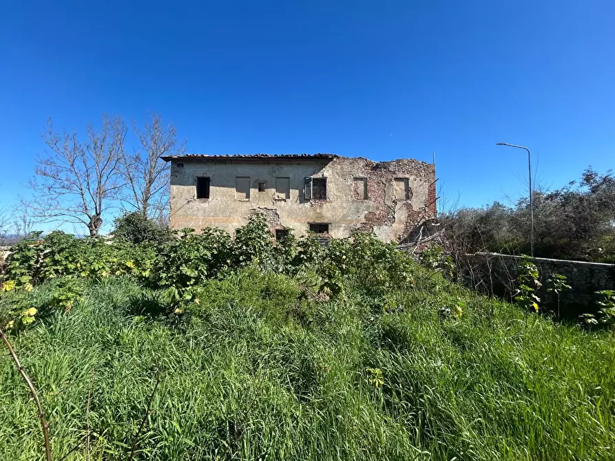 Immagine 2 di Casa colonica in vendita  a Asciano