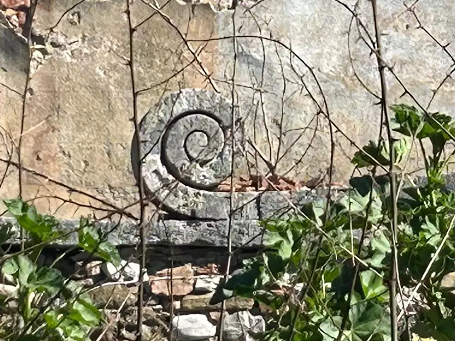 Immagine 5 di Casa colonica in vendita  a Asciano