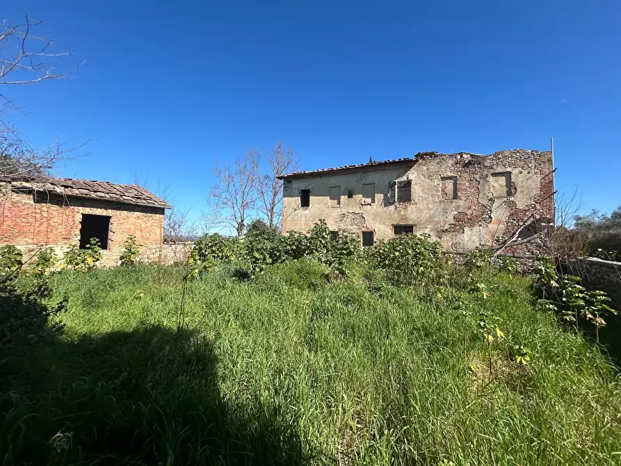 Immagine 4 di Casa colonica in vendita  a Asciano