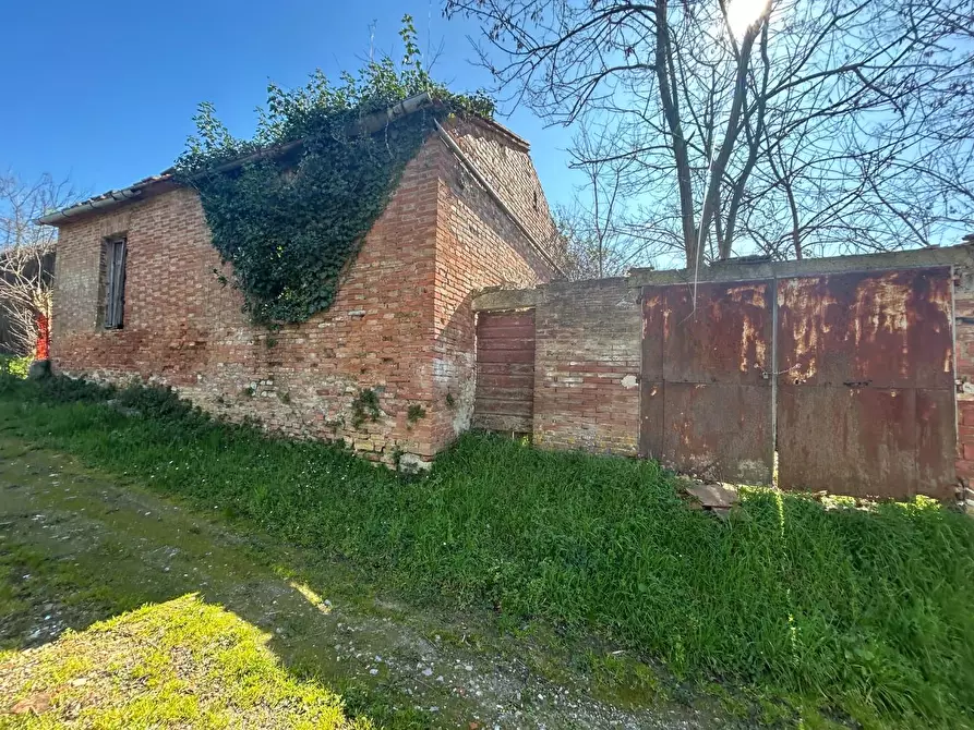 Immagine 7 di Casa colonica in vendita  a Asciano