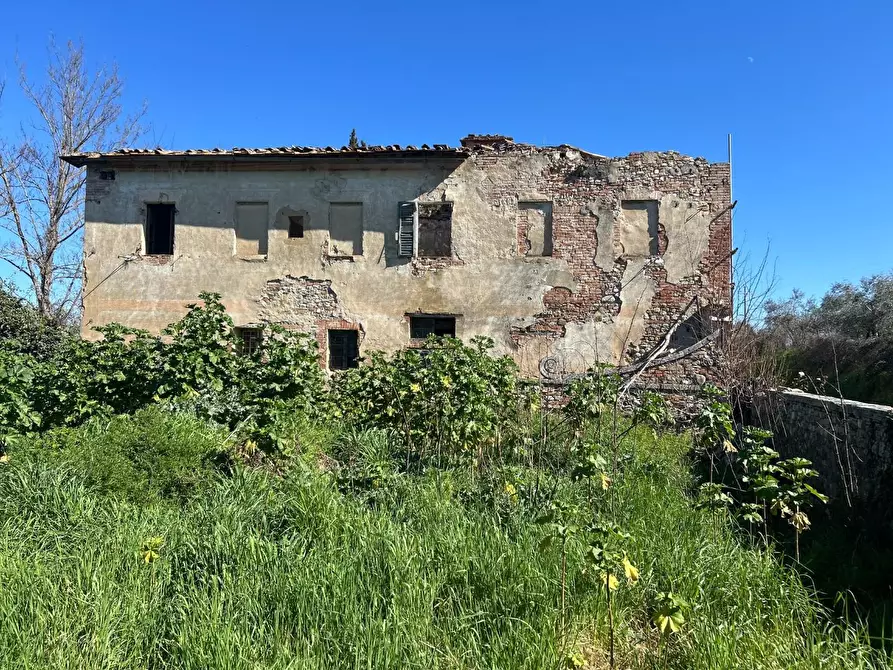 Immagine 3 di Casa colonica in vendita  a Asciano