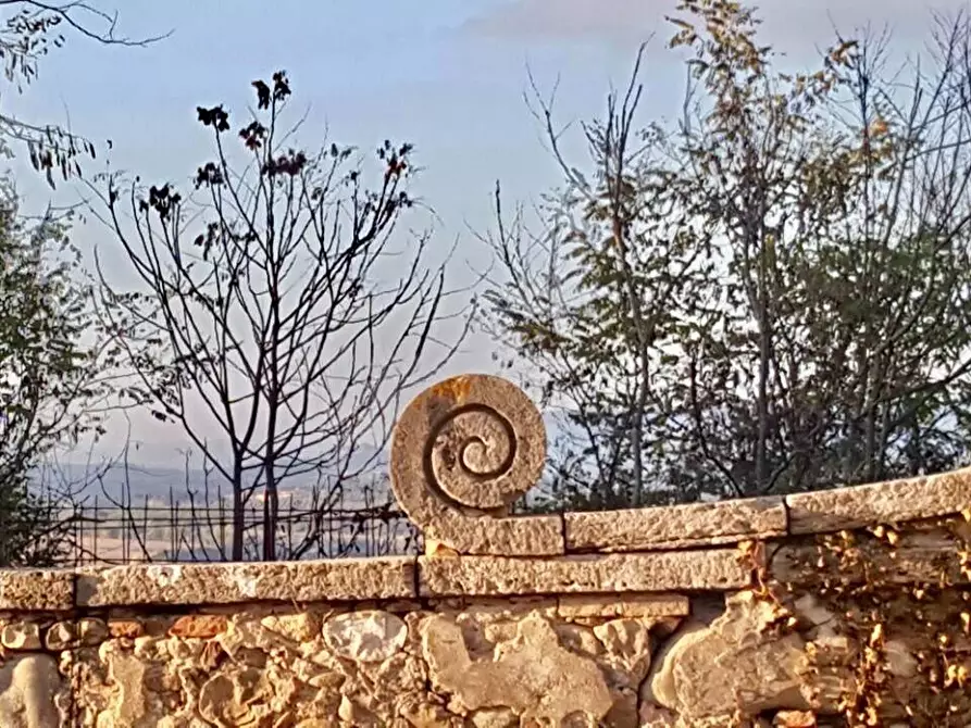 Immagine 14 di Casa colonica in vendita  a Asciano