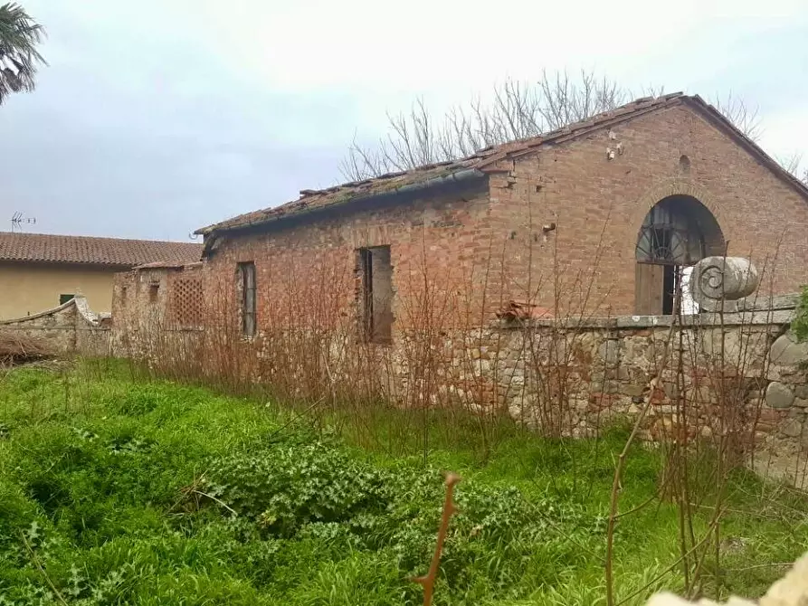 Immagine 13 di Casa colonica in vendita  a Asciano