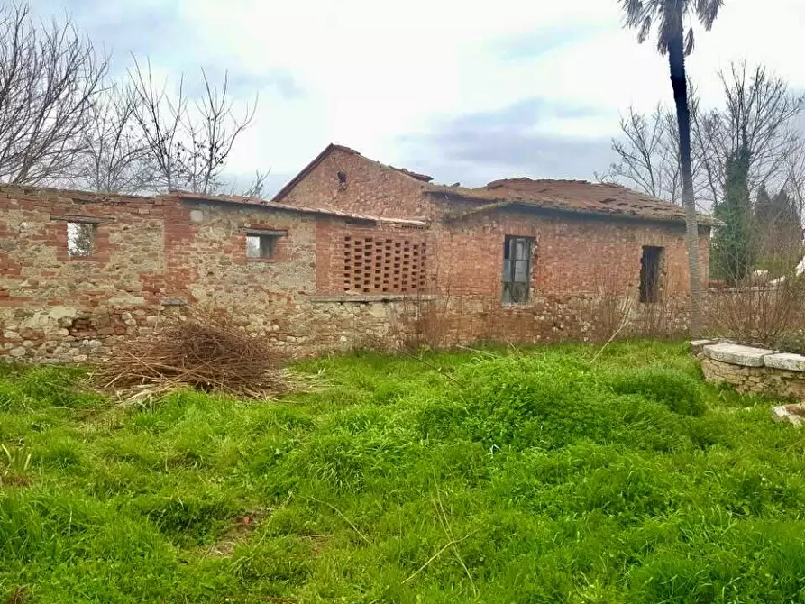 Immagine 8 di Casa colonica in vendita  a Asciano