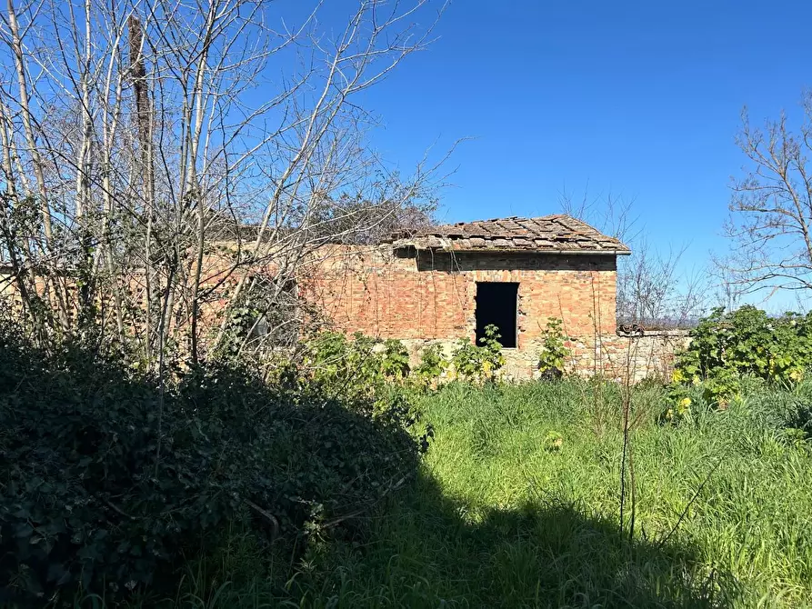 Immagine 9 di Casa colonica in vendita  a Asciano