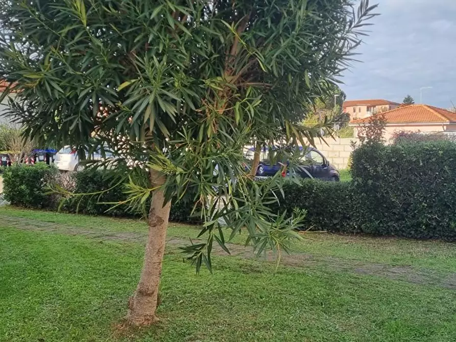 Immagine 22 di Mansarda in vendita  a Pisa