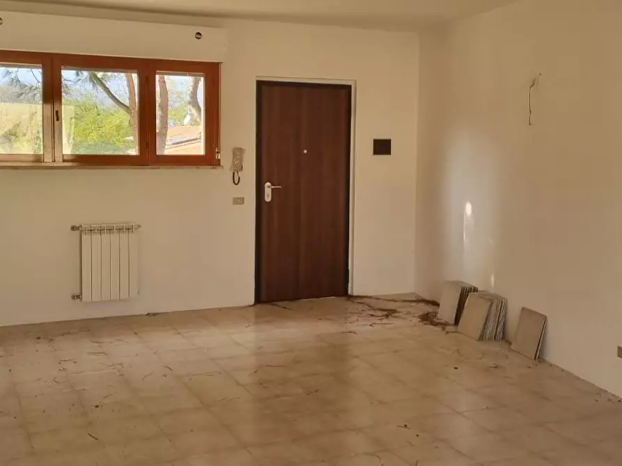 Immagine 4 di Mansarda in vendita  a Pisa