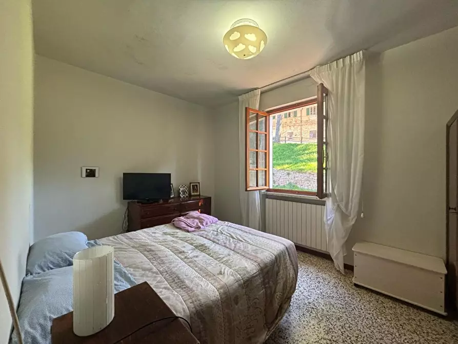 Immagine 5 di Appartamento in vendita  a Crespina Lorenzana