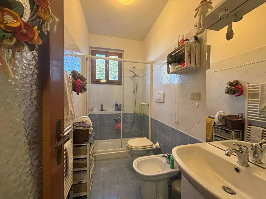 Immagine 6 di Appartamento in vendita  a Crespina Lorenzana