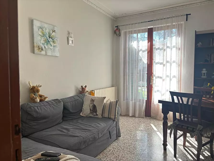 Immagine 1 di Appartamento in vendita  a Crespina Lorenzana