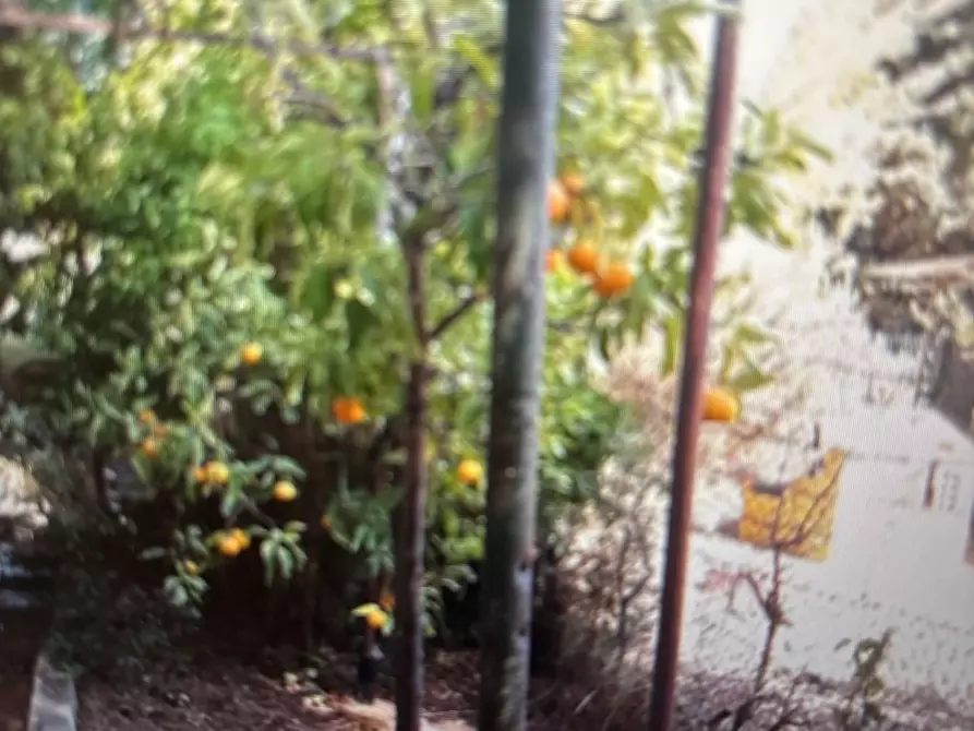 Immagine 17 di Terreno agricolo in vendita  a Piombino