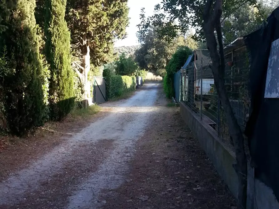 Immagine 13 di Terreno agricolo in vendita  a Piombino