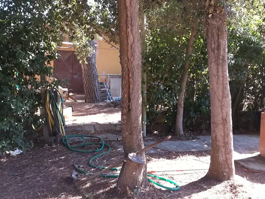 Immagine 12 di Terreno agricolo in vendita  a Piombino