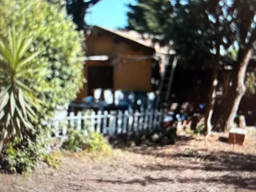 Immagine 2 di Terreno agricolo in vendita  a Piombino