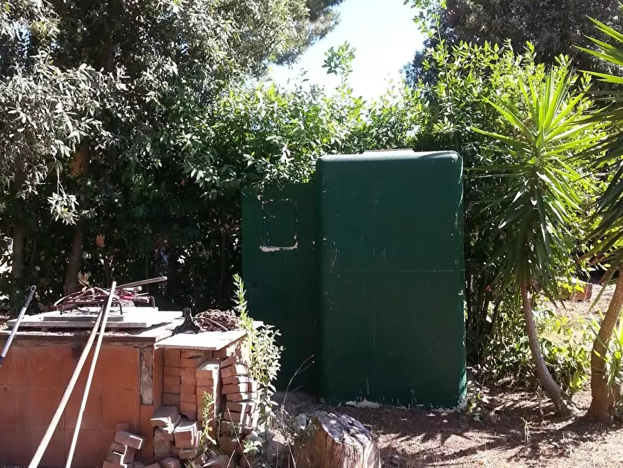 Immagine 15 di Terreno agricolo in vendita  a Piombino