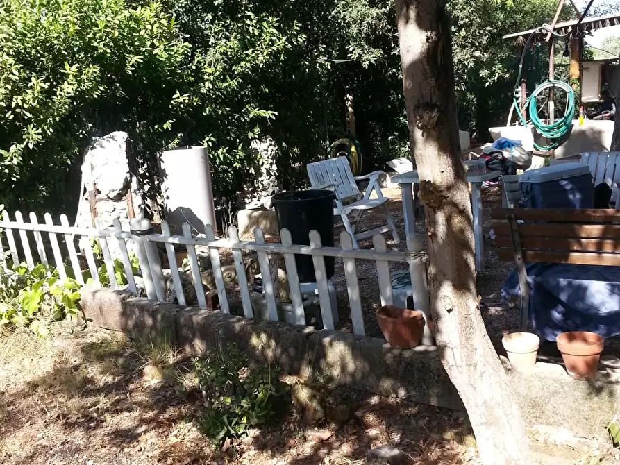 Immagine 6 di Terreno agricolo in vendita  a Piombino