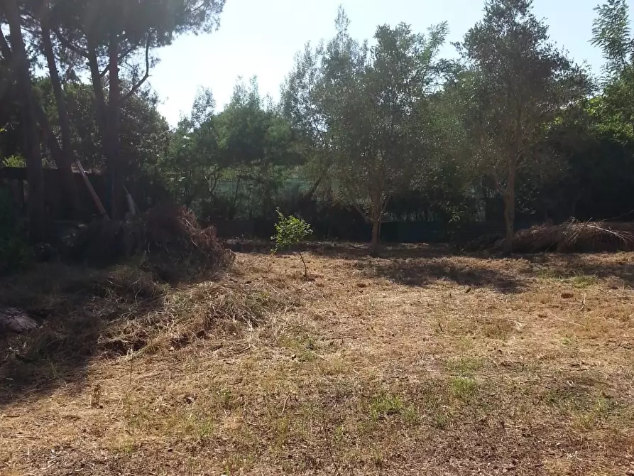 Immagine 11 di Terreno agricolo in vendita  a Piombino