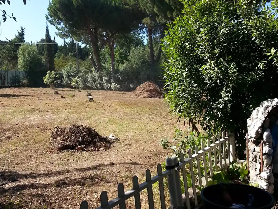 Immagine 8 di Terreno agricolo in vendita  a Piombino