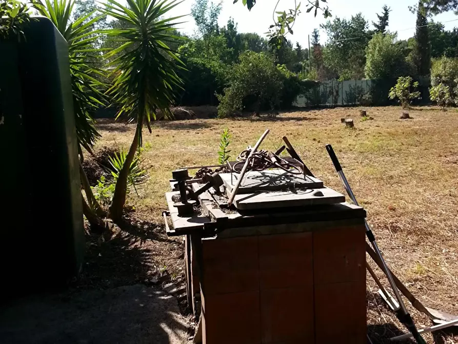 Immagine 16 di Terreno agricolo in vendita  a Piombino