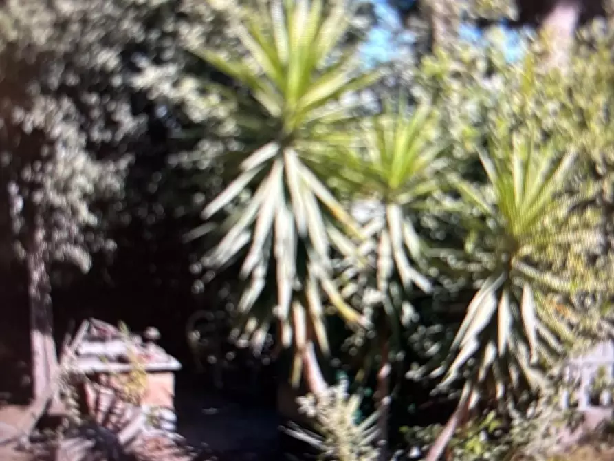 Immagine 18 di Terreno agricolo in vendita  a Piombino