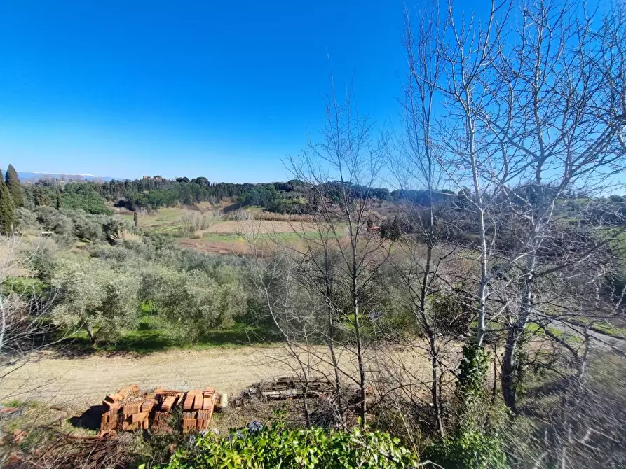Immagine 3 di Terreno agricolo in vendita  a Crespina Lorenzana
