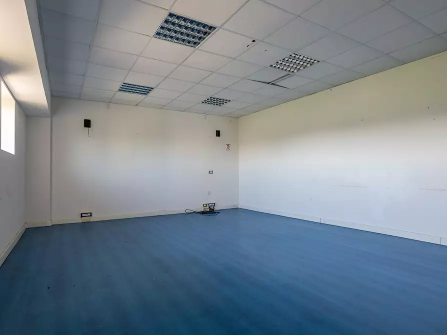 Immagine 27 di Attività artigianale in affitto  a Bientina