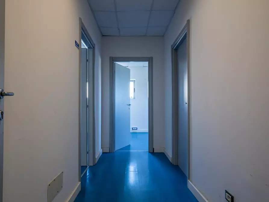 Immagine 33 di Attività artigianale in affitto  a Bientina