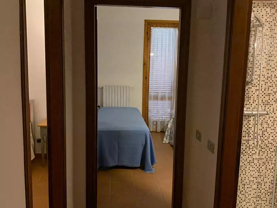 Immagine 14 di Casa bifamiliare in vendita  a Montignoso
