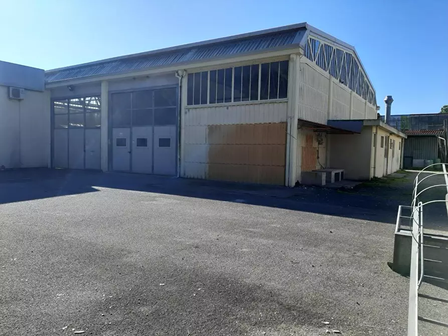 Immagine 17 di Attività artigianale in vendita  a Vicopisano