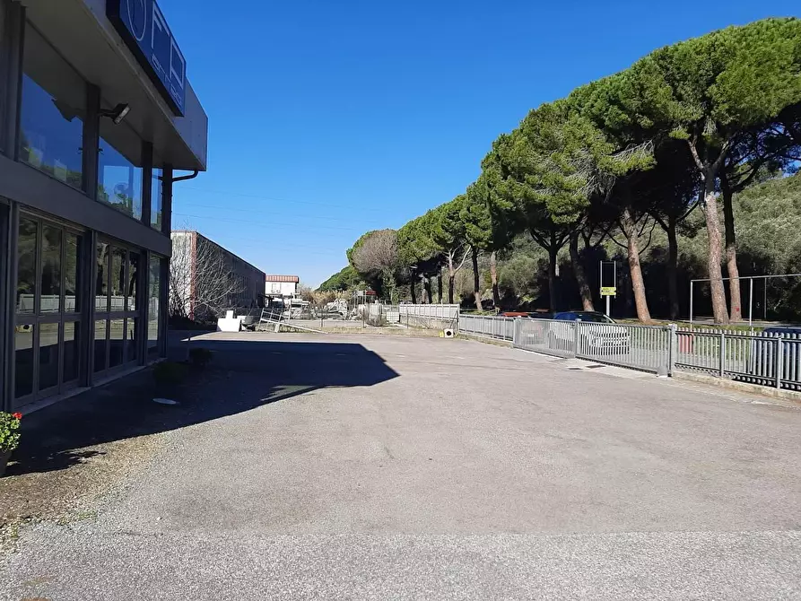 Immagine 34 di Attività artigianale in vendita  a Vicopisano