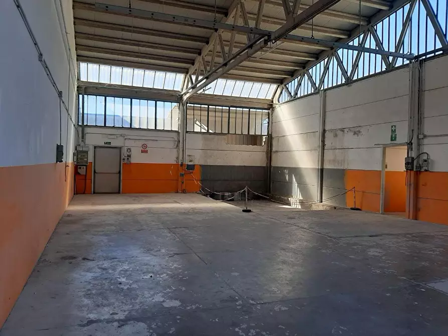 Immagine 26 di Attività artigianale in vendita  a Vicopisano