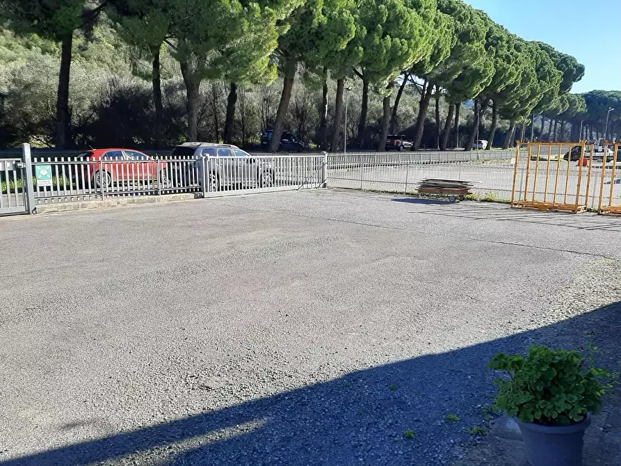 Immagine 13 di Attività artigianale in vendita  a Vicopisano