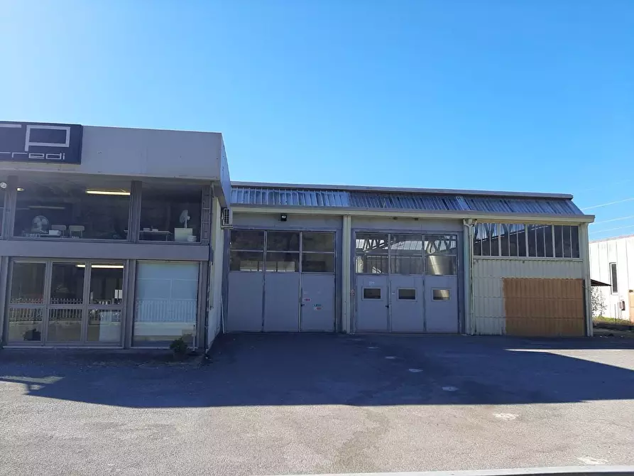 Immagine 37 di Attività artigianale in vendita  a Vicopisano